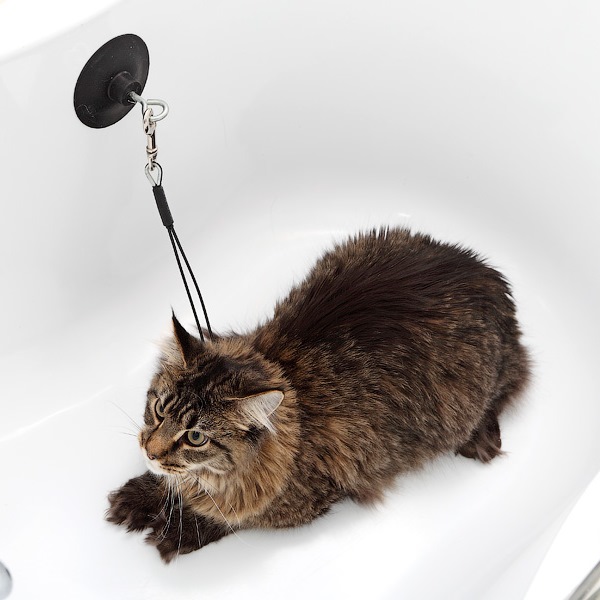 присоска для мытья кошек