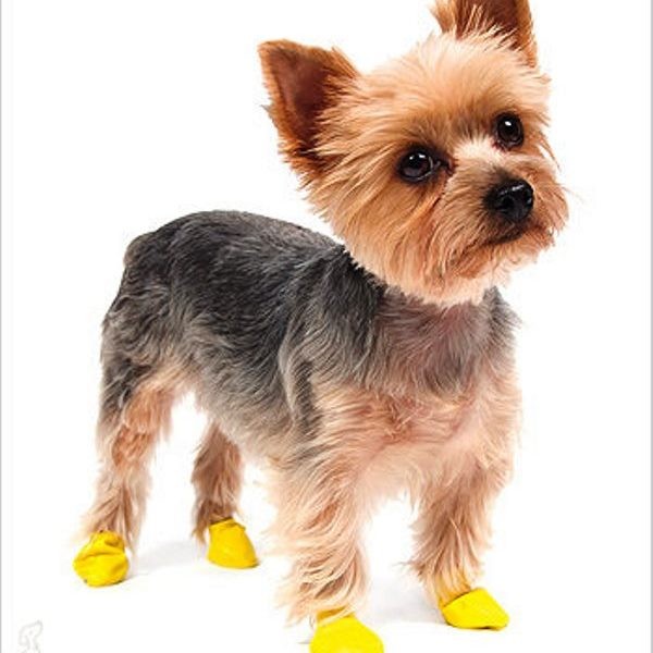 Ботинки для собак PawZ ХХ-S