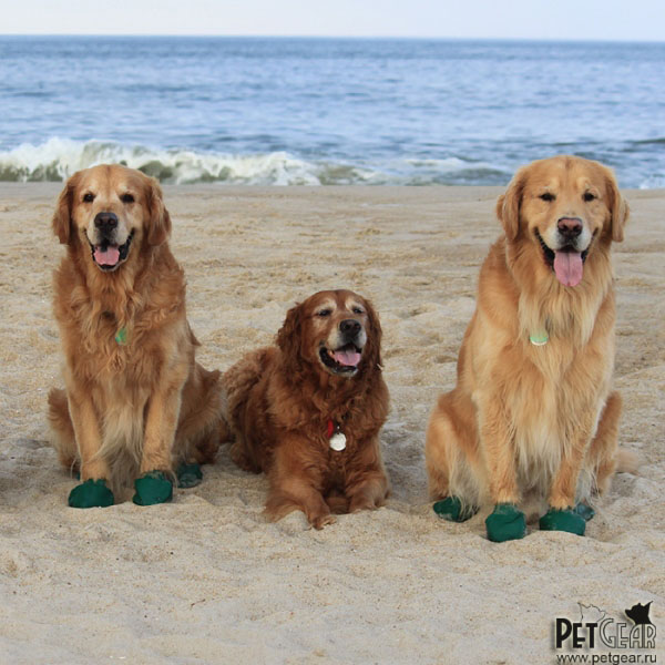 Ботинки для собак PawZ XL