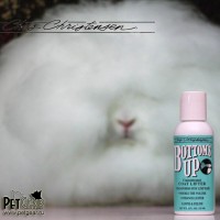 Концентрированный шоу-спрей для объёма Bottoms Up