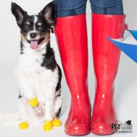 Ботинки для собак PawZ ХХ-Small