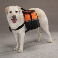 Рюкзак для собак Zack&Zoey®