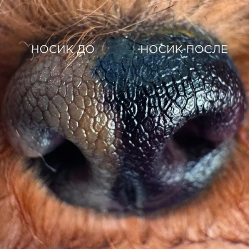 Пигмент для носа Свети Пигмент для носа Свети